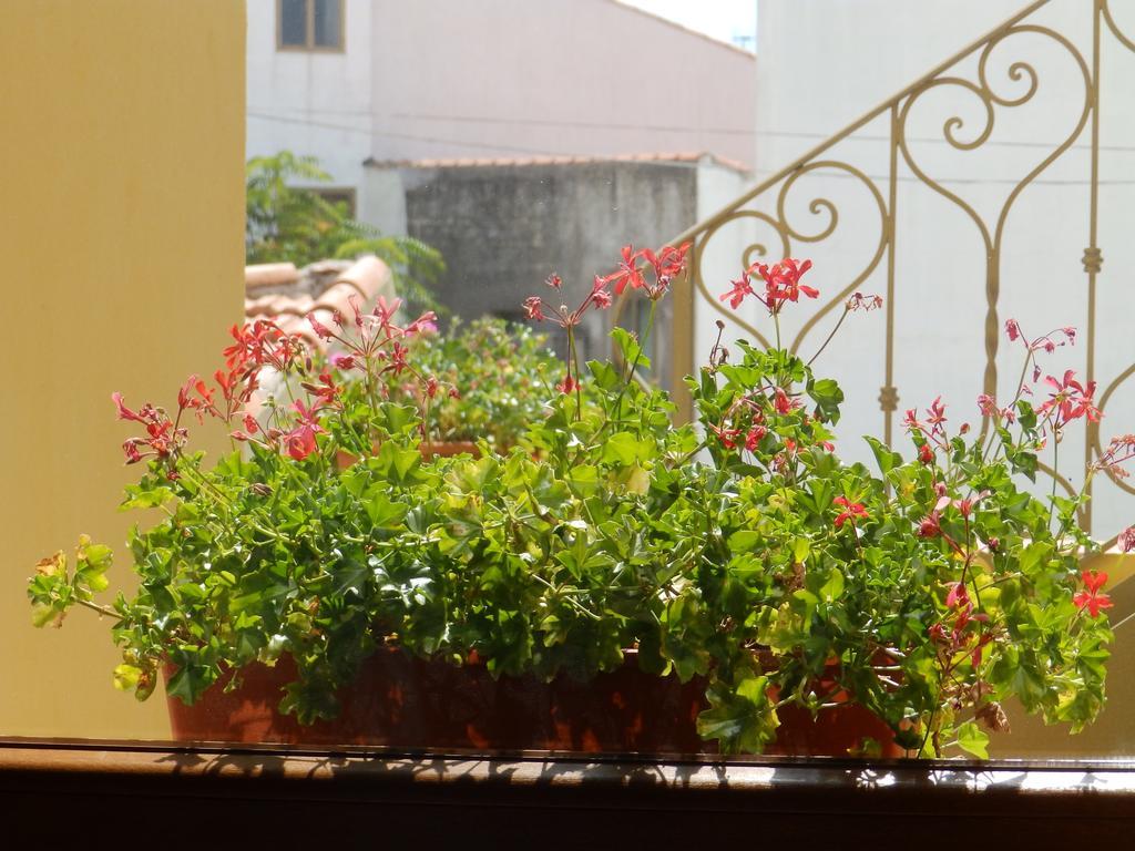Sa Chessa B&B Ploaghe Extérieur photo
